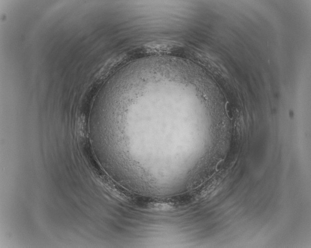 X0000078230649200611171435