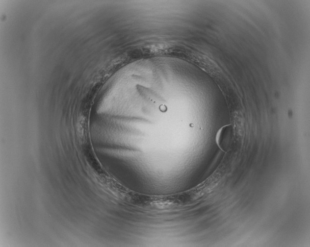 X0000078230650200611171435