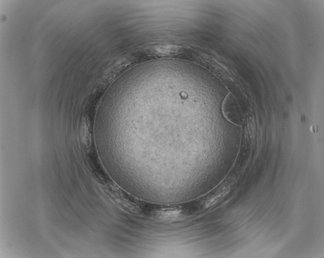 X0000078230651200611171435