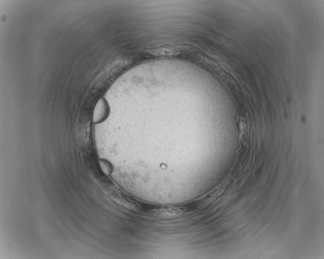 X0000078230652200611171435