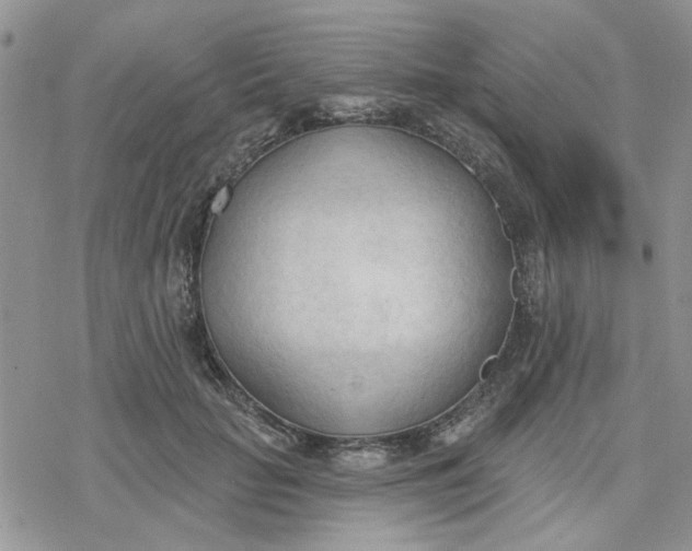 X0000078230653200611171435