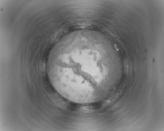 X0000078230657200611171435