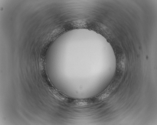 X0000078230658200611171435