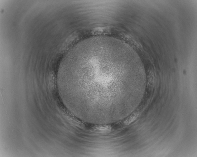 X0000078230659200611171435