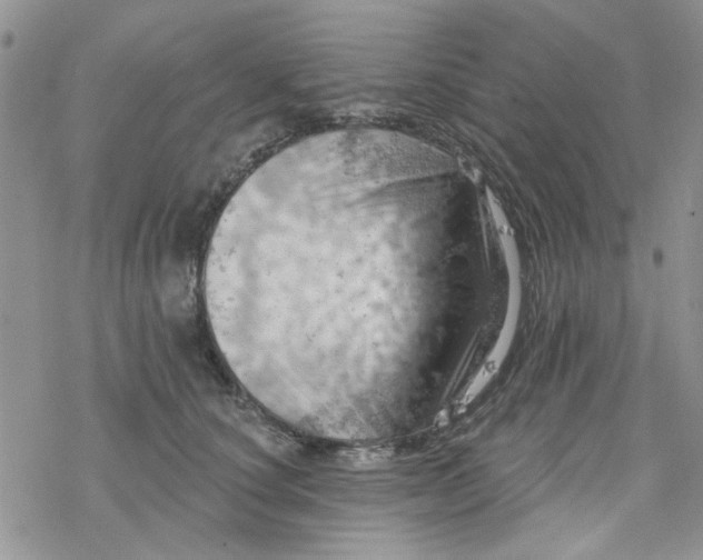 X0000078230660200611171435