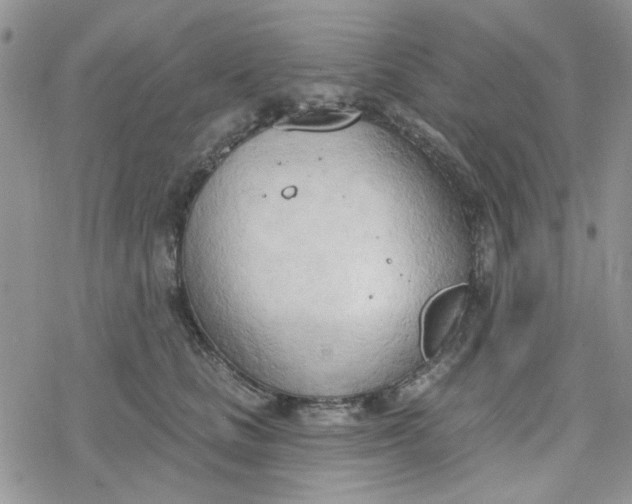 X0000078230661200611171435