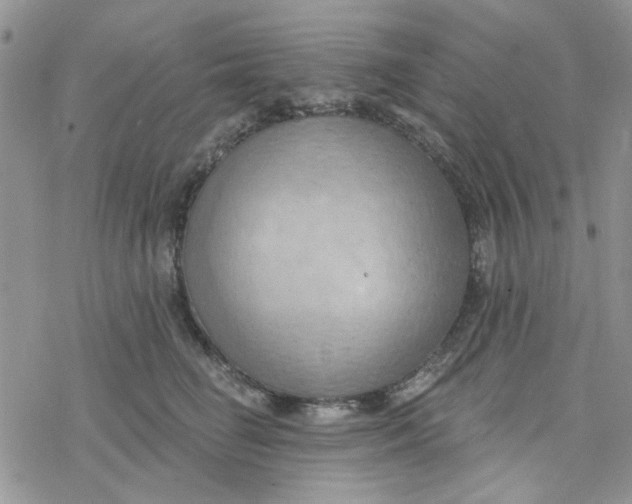 X0000078230662200611171435