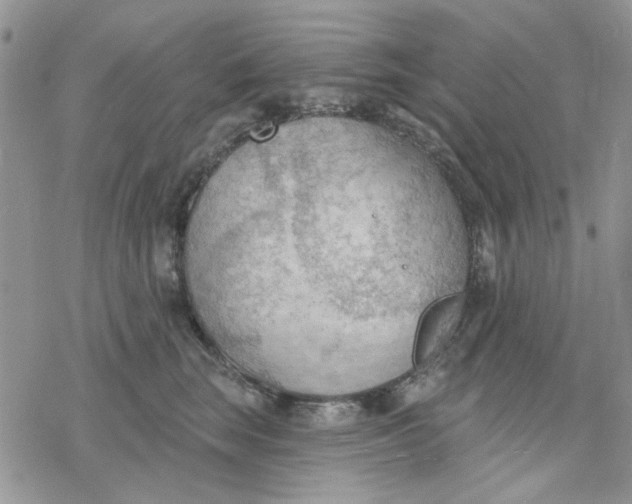 X0000078230663200611171435