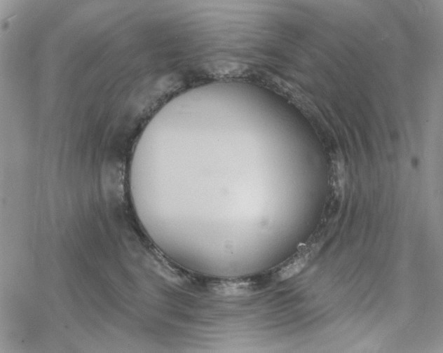 X0000078230664200611171435