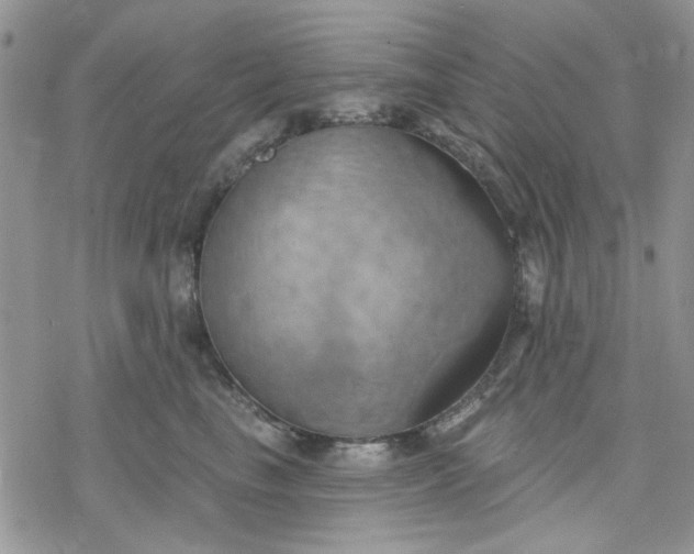 X0000078230665200611171435