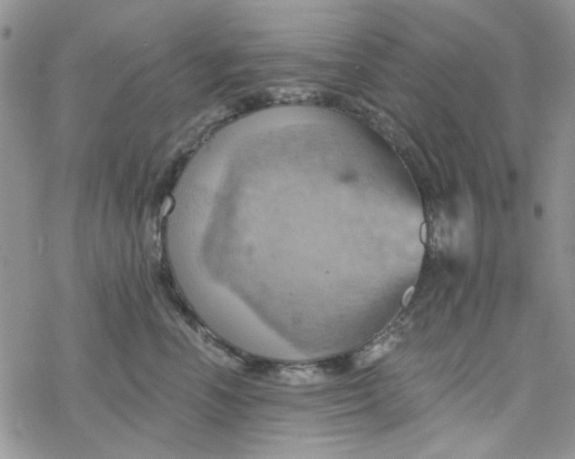 X0000078230666200611171435