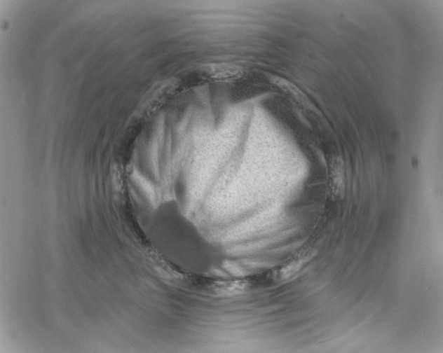 X0000078230667200611171435