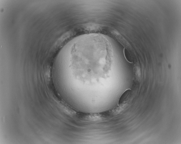 X0000078230668200611171435