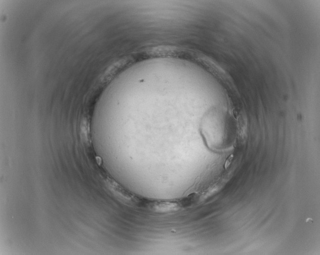 X0000078230669200611171435