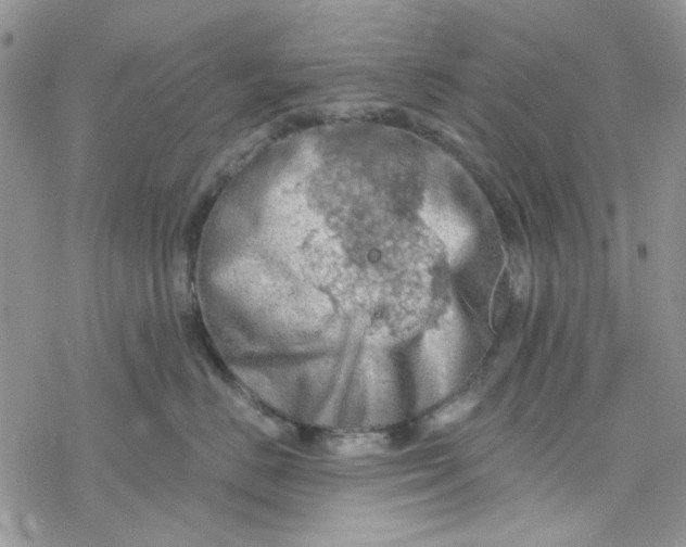 X0000078230670200611171435