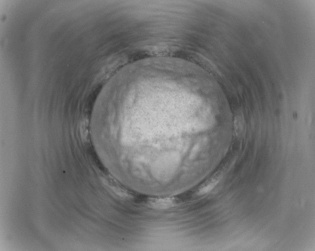 X0000078230671200611171435