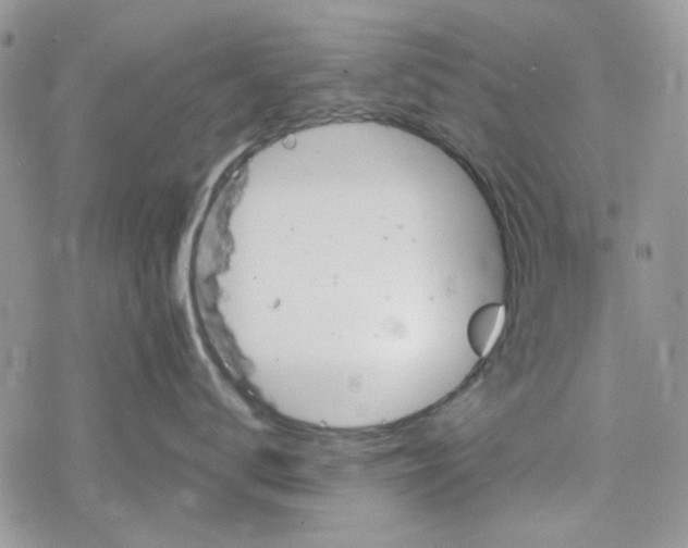 X0000078230672200611171435