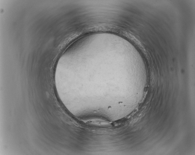 X0000078230673200611171434