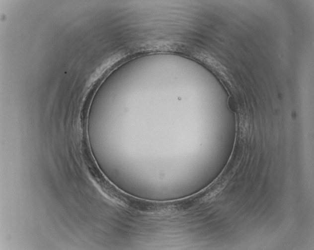 X0000078230674200611171434