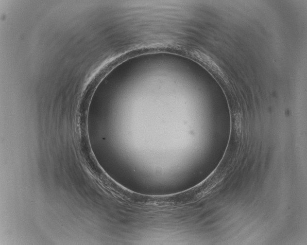 X0000078230676200611171434