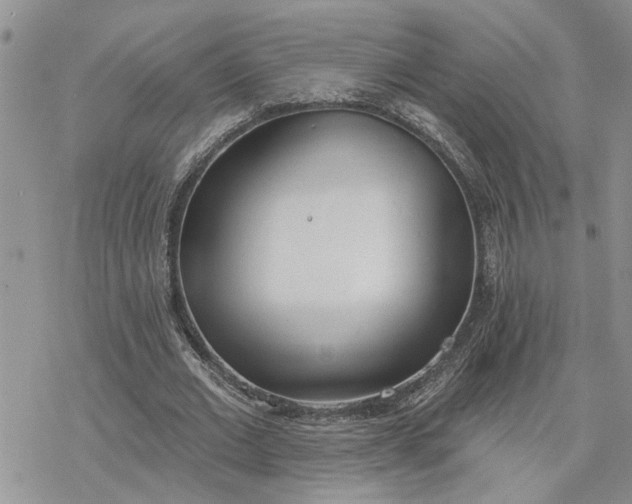 X0000078230677200611171434