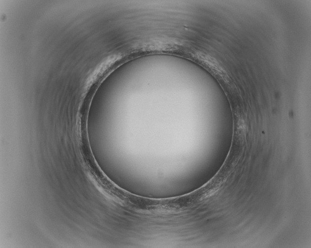 X0000078230678200611171434