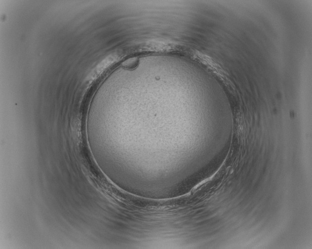 X0000078230679200611171434