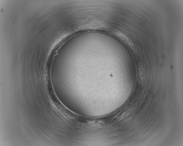 X0000078230680200611171434