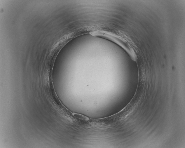 X0000078230681200611171434