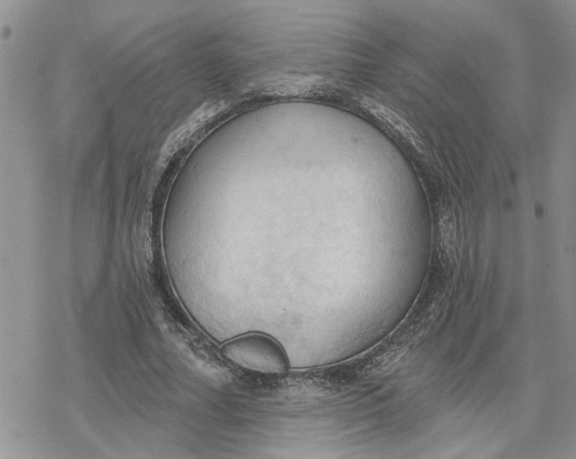 X0000078230682200611171434