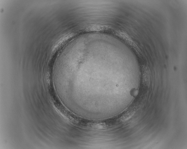 X0000078230683200611171434