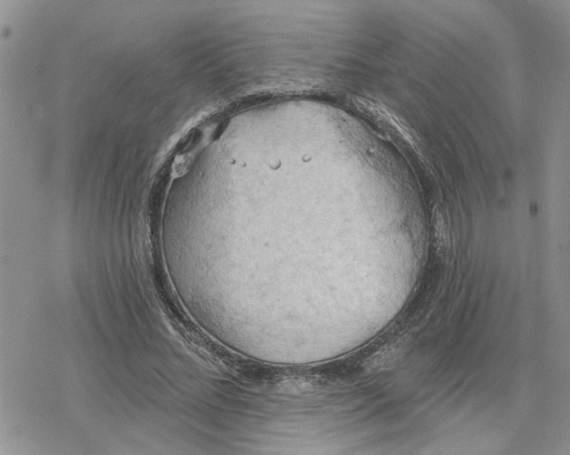 X0000078230684200611171434