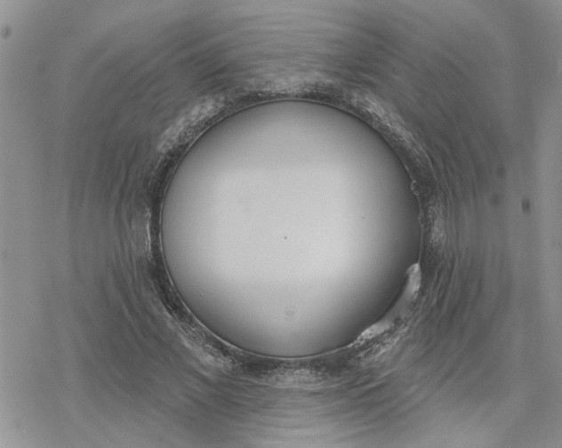 X0000078230685200611171434