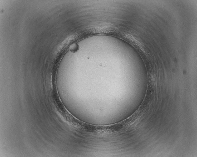 X0000078230686200611171434