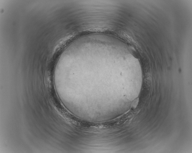 X0000078230688200611171434