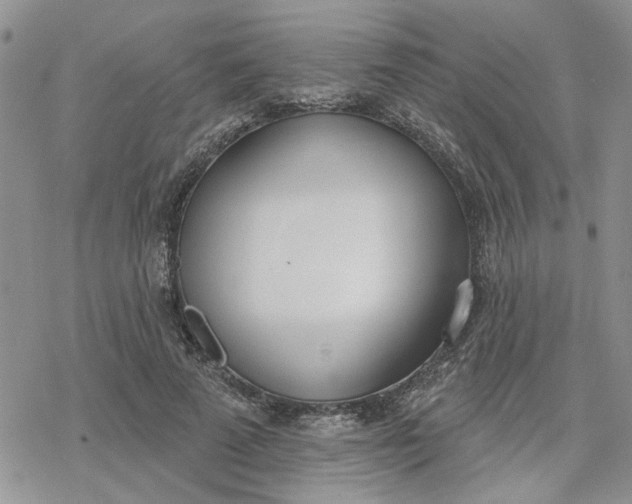 X0000078230689200611171434