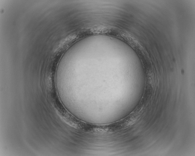 X0000078230690200611171434