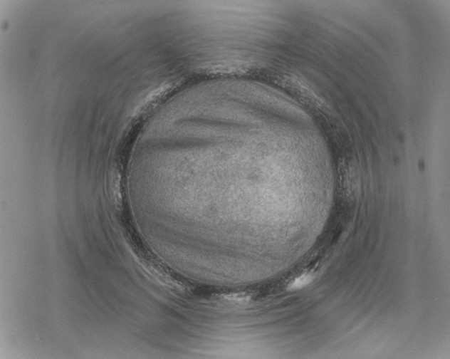 X0000078230692200611171434