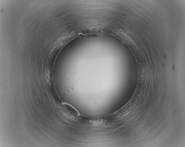 X0000078230693200611171434