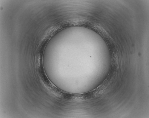 X0000078230694200611171434