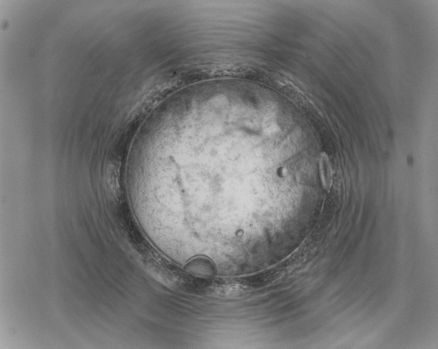 X0000078230695200611171434