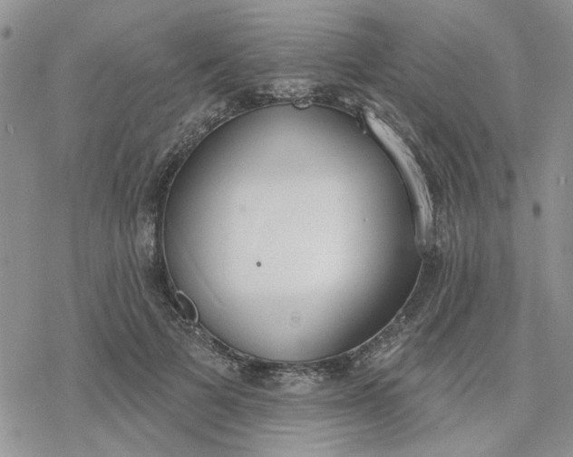 X0000078230697200611171434