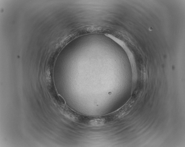 X0000078230700200611171434