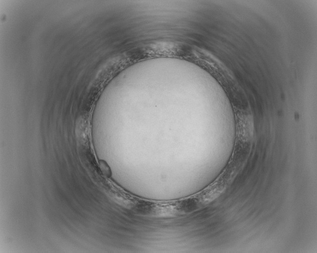 X0000078230701200611171434