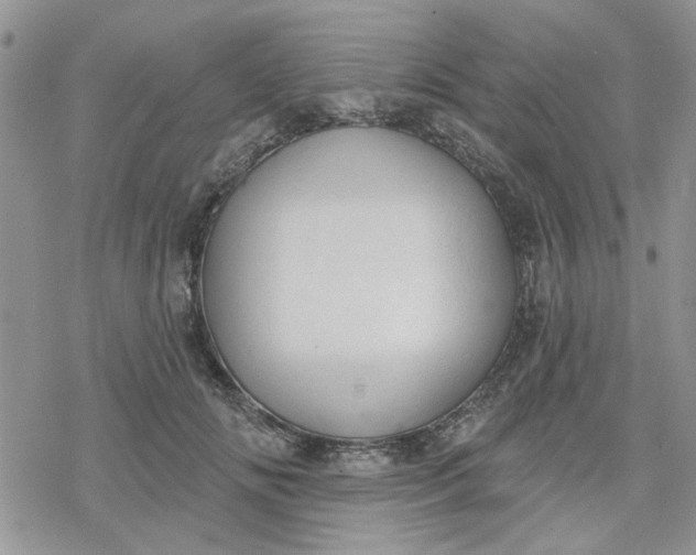 X0000078230702200611171434