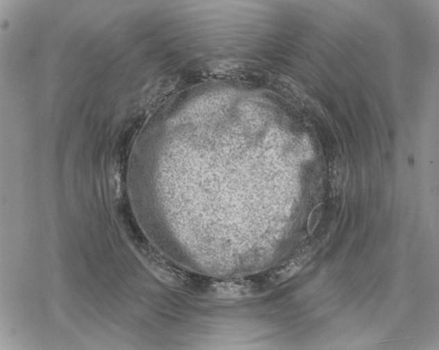 X0000078230703200611171434