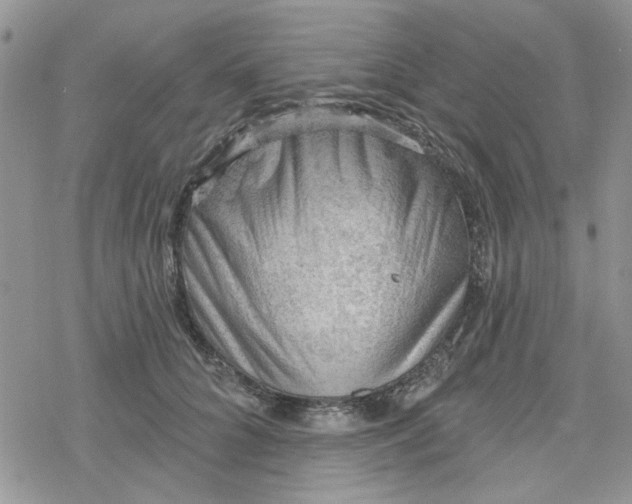 X0000078230704200611171434