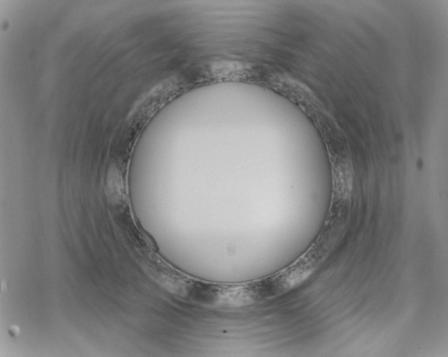 X0000078230705200611171434