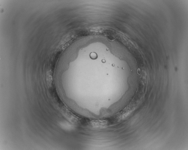 X0000078230707200611171434