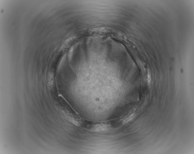 X0000078230708200611171434